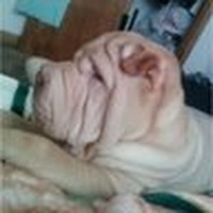 Meet your Posher, Wendy